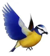 Excepteur dolor necessitatibus nesciunt enim libero inventore maxime est paria